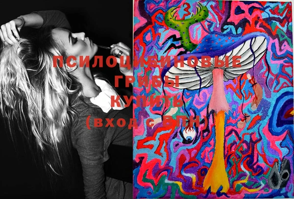 марки lsd Белокуриха