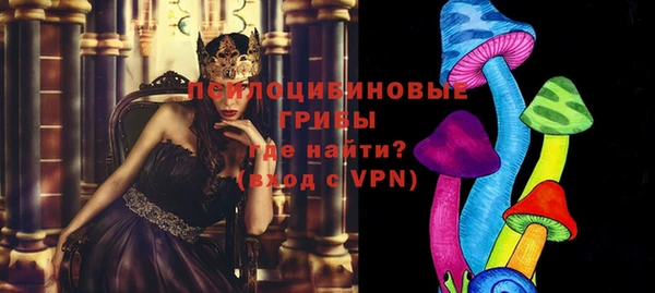 марки lsd Белокуриха