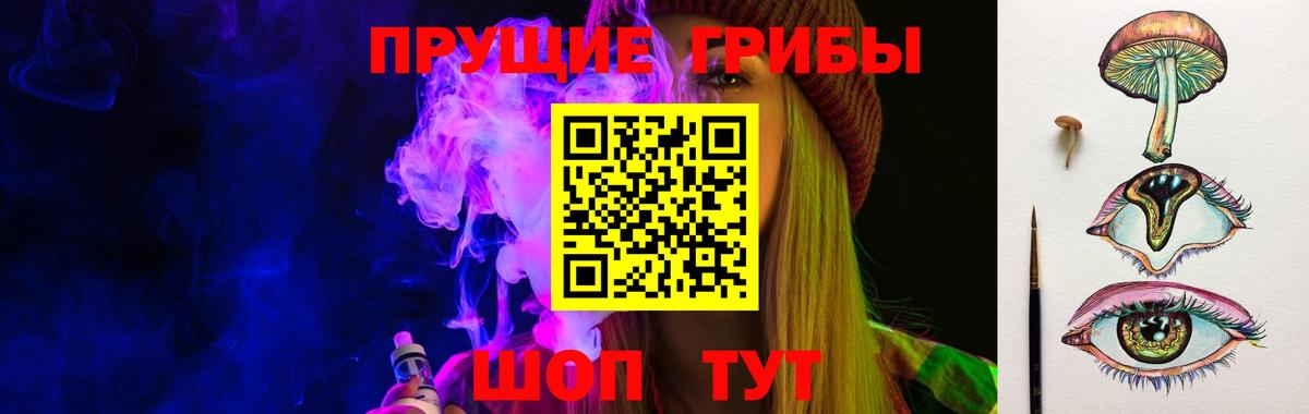 Гай  Псилоцибиновые грибы GOLDEN TEACHER  Вход с VPN 
