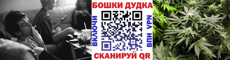 Конопля план Гай