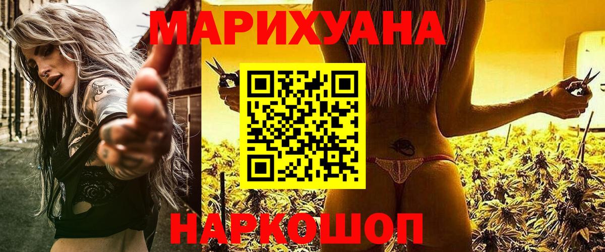 Канабис конопля Гай